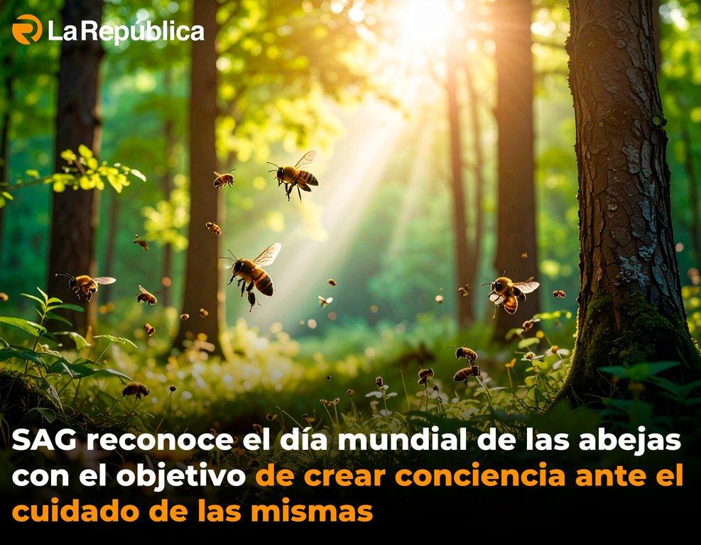 SAG reconoce el día mundial de las abejas con el objetivo de crear conciencia ante el cuidado de las mismas - Cover Image